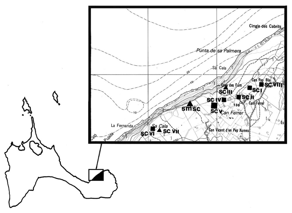 Sa Cala. Plànol topogràfic amb la distribució dels jaciments arqueològics. Elaboració: Benjamí Costa Ribas.