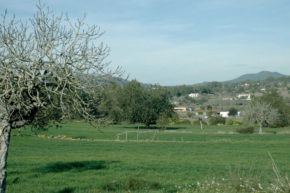 Sant Carles de Peralta. Paisatge agrícola. Foto: Chus Adamuz.