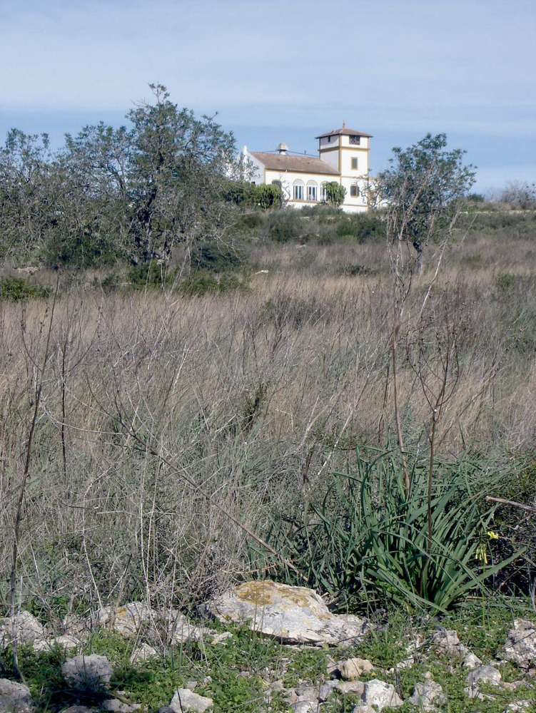 Santa Gertrudis de Fruitera. Un altre exemple de casa molt allunyada del model constructiu típic: can Carrasco, a la vénda de Santa Maria. Foto: EEiF.