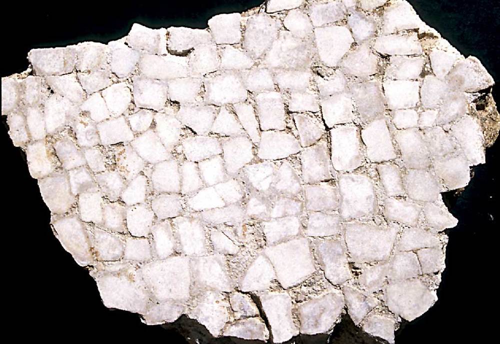 Arquitectura. Ronda de G. B. Calvi, Eivissa. Un dels fragments del mosaic (<em>opus tesellatum</em> irregular). Probablement d´època tardopúnica. S. II aC. Foto: Joan Ramon Torres.