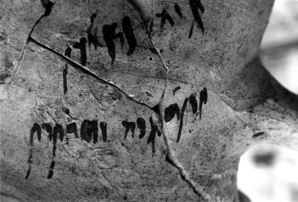 Epigrafia. Gerra ebusitana del s. II aC. trobada al puig des Molins, amb una inscripció en tinta i caràcters cursius tardopúnics. Foto: Joan Ramon Torres.