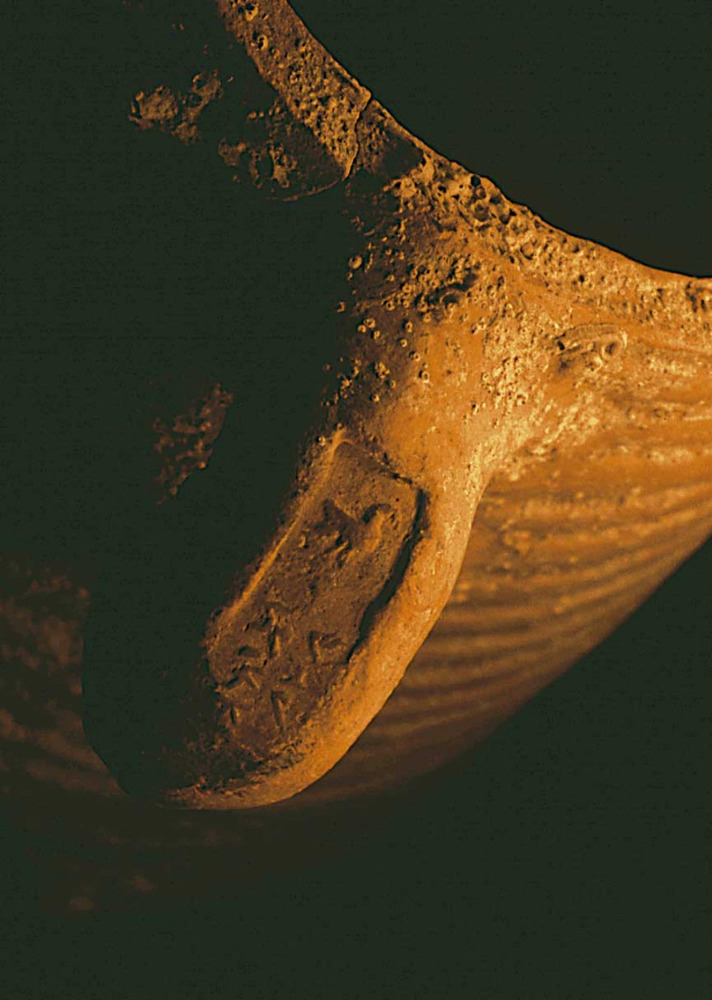 Ansa d´àmfora PE-17, fabricada en un taller d´Eivissa en el segle II aC., amb un segell que representa un colom i el nom del terrissaire o del negociant-envasador (potser de vi). Procedeix del fondejador N de na Guardis (Mallorca). Foto: V. M. Guerrero.