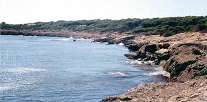 La costa del torrent de s´Alga, a la part de migjorn de l´illa de Formentera. Foto: Enric Ribes i Marí.