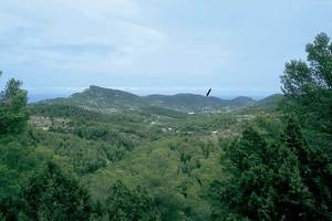 Fotografia de situació de la cova des Culleram feta des de la carretera de Sant Joan a sa Cala. Foto: Joan Ramon Torres.