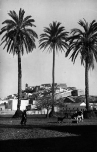 Ciutat d´Eivissa. Imatge d´Eivissa des de s´hort de ses Canyes, ara totalment urbanitzat. Foto: Viñets / Arxiu Històric Municipal d´Eivissa.