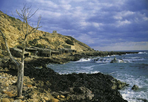 S´Estufador, zona costanera situada al vessant de migjorn de la Mola. Foto: extret de <em>Formentera</em> / Marià Mayans.