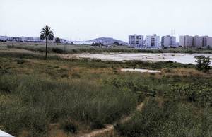 El sector de ses Feixes conegut com es prat de Vila, que es troba pràcticament desaparegut. Foto: Rosa Vallès Costa.