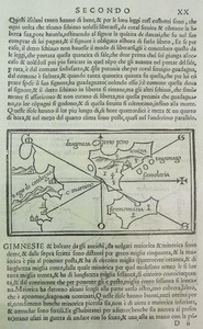 Gimnèsies fou el nom donat pels antics grecs a Mallorca i Menorca, i que Aviè també adjudicà a l´illa d´Eivissa. Cortesia de l´Arxiu Històric Municipal d´Eivissa.