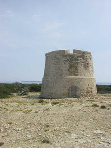 La torre de sa Guardiola, ubicada a l´illa de s´Espalmador. Foto: Felip Cirer Costa.