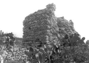 A les restes de la torre des Maseuets (Sant Jordi de ses Salines), ja desapareguda, es podia observar l´aparell d´espiga de les parets. Foto: Joan Marí Cardona.