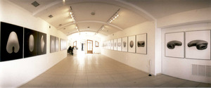 Sala de Cultura de "Sa Nostra" a Formentera. Exposició "Blu-tack", de Miguel Czemikowski. Arxiu de l´Obra Social "Sa Nostra" Caixa de Balears.