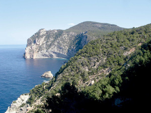 Municipi de Sant Antoni de Portmany. Penya-segats com el de ses Balandres caracteritzen bona part del litoral d´Albarca i de Corona. Foto: EEiF.