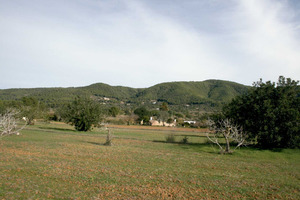 Municipi de Sant Joan de Labritja. Paisatge rural amb la serra de sa Mala Costa al fons. Foto: EEiF.