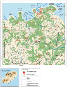 Mapa general del poble de Sant Joan de Labritja. Elaboració: José F. Soriano Segura / Antoni Ferrer Torres.