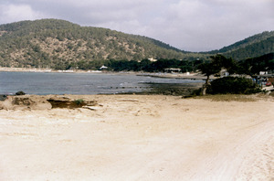 La platja de sa Trinxa, popularment coneguda com de ses Salines. Foto: Maria Antònia Costa Costa.