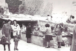 La Unió de Pagesos d´Eivissa promogué, juntament amb la Cooperativa es Nostro Camp, el mercat pagès instal·lat vora el Rastrillo. Foto: Josep Buil Mayral.