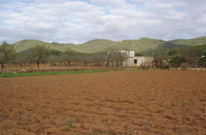 Territori de la vénda de sa Vorera, amb la serra des puig des Castell i d´en Joanot, al fons. Foto: EEiF.