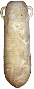 Àmfora púnica T-4.1.1.2, fabricada en un taller de Tunísia, trobada a Eivissa, en un jaciment desconegut. Esporàdica a Eivissa. Contengut: incert, <em>c.</em> 430-400 aC. E, 1:10. Foto: Joan Ramon Torres.
