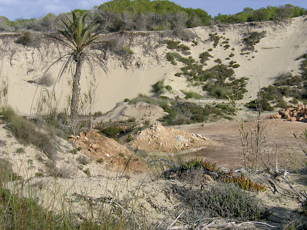 Areny de ses Clotades, a la zona des Arenals. Foto: Vicent Ferrer Mayans.