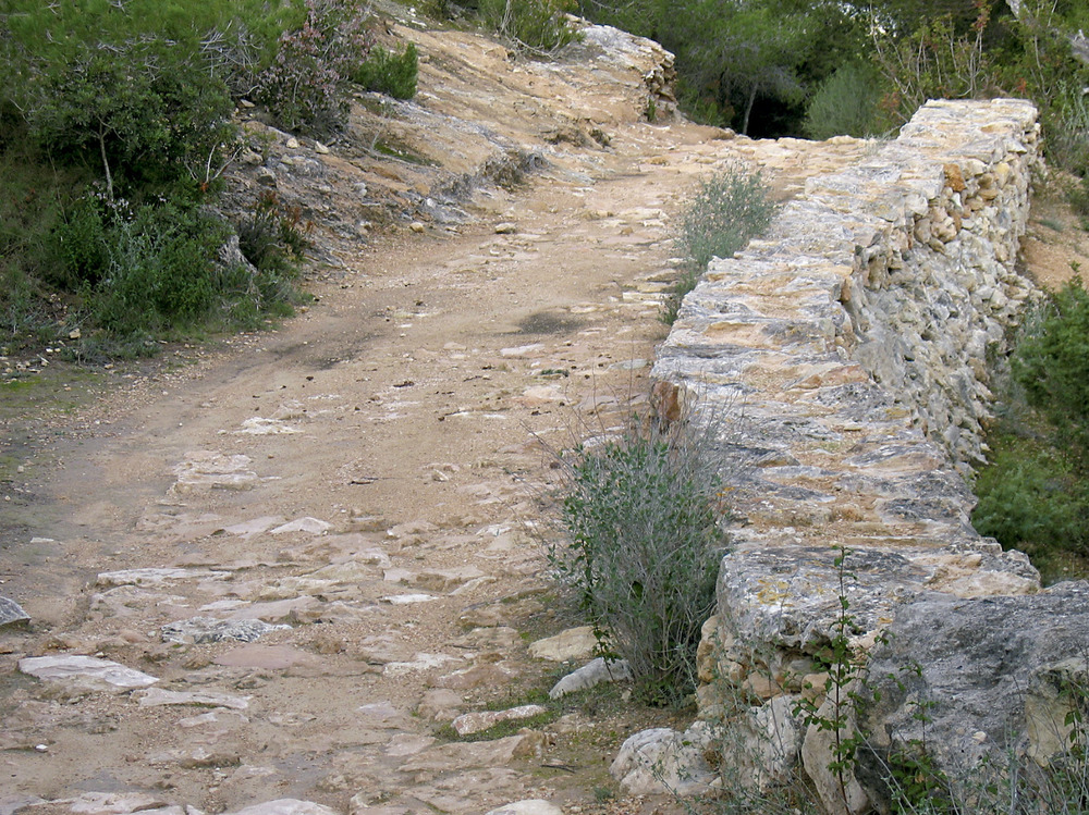 El camí de sa Pujada, el traçat del qual fou eixamplat i consolidat a través del Pla de millores de 1798. Foto: Vicent Ferrer Mayans.