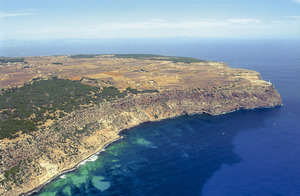 Costa espadada de la Mola, a la zona de cala Codolar, la punta de sa Ruda i, al fons, el far de Formentera. Foto Pins.